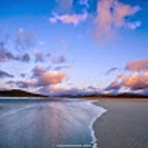 Meet your Posher, Susan grace